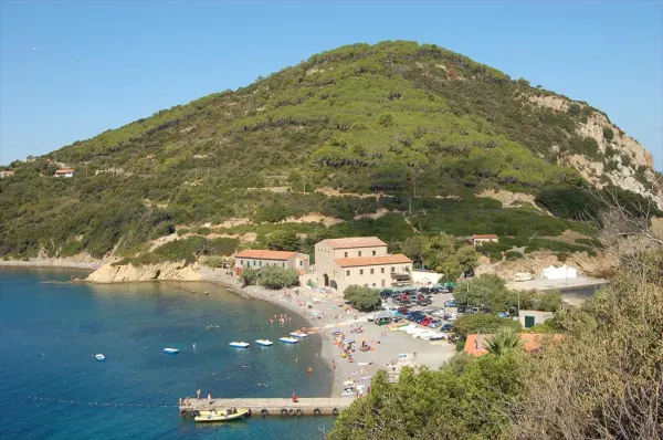 Sagra della sardina