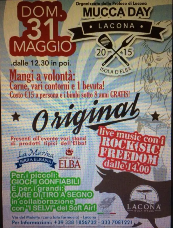 Mucca Day 2015