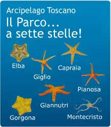 Passeggiata Nordic Walking a Pianosa