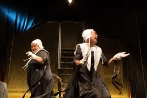 Elsinor Teatro Stabile d'Innovazione - Le intellettuali
