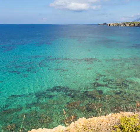 Isola di Pianosa: Biodiversità nell'area di tutela integrale