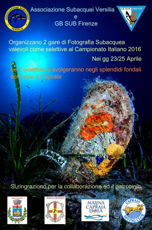 Gara di fotografia subacquea
