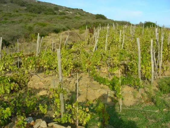 Trekking da Sant'Andrea alla Zanca