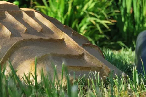 "Arte in Giardino" a cura della Galleria Gulliver di Marciana Marina.