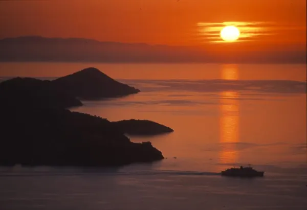 Flower Power - Concerto al tramonto