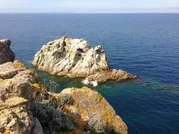 Elba Kids 2016 - Lo scoglio della nave e le postazioni costiere della regia marina
