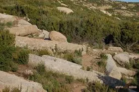 Conferenza - “La pietra e il lavoro dell’uomo” Il marmo di Carrara e il granito dell’Elba