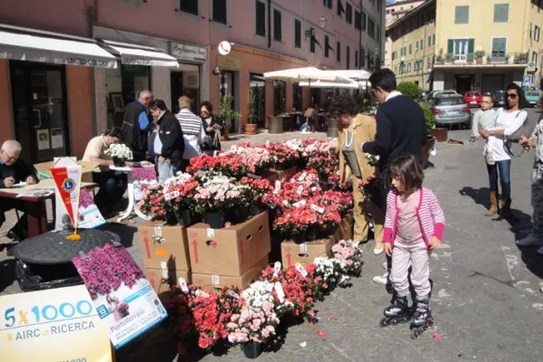 L'Azalea della ricerca