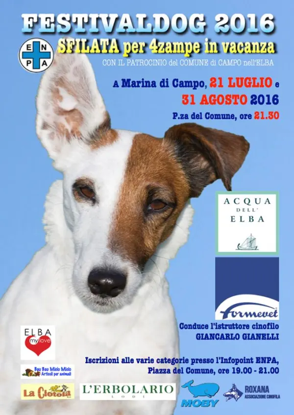 Festivaldog 2016 - Sfilata per 4zampe in vacanza