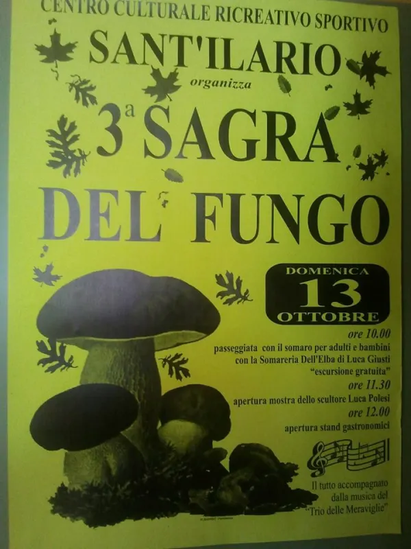 3° Sagra del Fungo - Sant'Ilario
