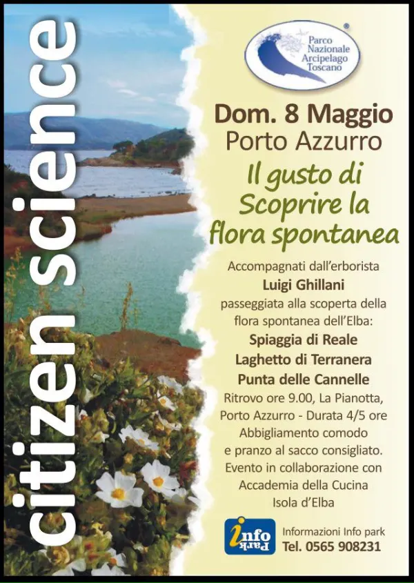 Il gusto di scoprire la flora spontanea