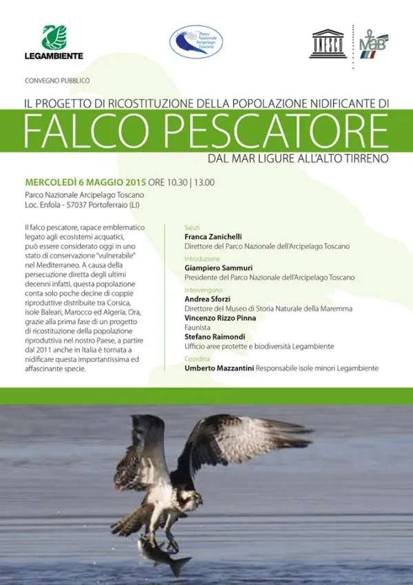 Progetto di ricostituzione della popolazione nidificante del Falco pescatore