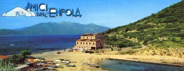 Sagra della sardina