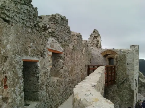 Gita al Castello del Volterraio per ultrasessantenni