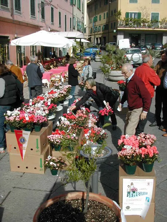L'Azalea della Ricerca