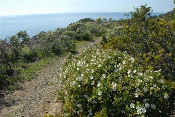 Walking Festival 2015 – Passeggiando  a colori sui passi dei Riesi