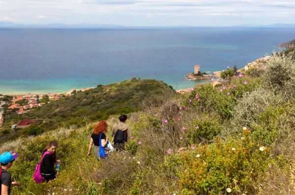 Isola del Giglio: profumo di bosco, profumo di funghi