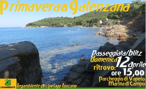 Primavera a Galenzana
