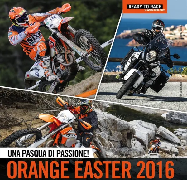 Orange Easter 2016