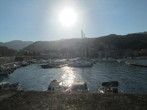 Premio di Poesia “Rio Sotto Le Stelle”