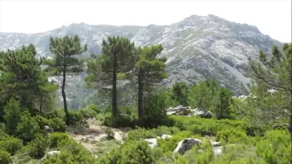 Uno scrigno racchiuso nel bosco