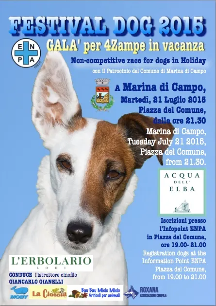 Festival Dog 2015 - Gran Galà sfilata per 4 zampe in vacanza