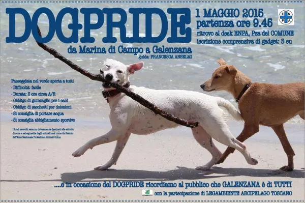 DOGPRIDE