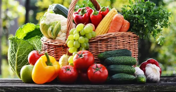 Corso di cucina vegana a Colle D'Orano
