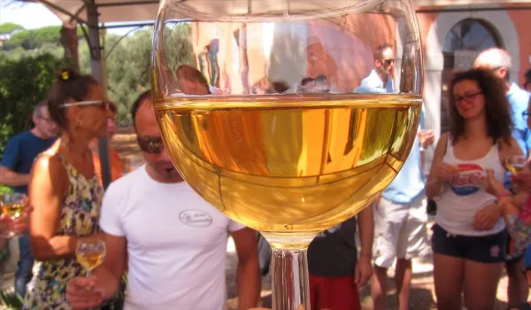 ElbaTaste: Sapori, parole, immagini. Otto appuntamenti con l'enogastronomia dell'isola d'Elba