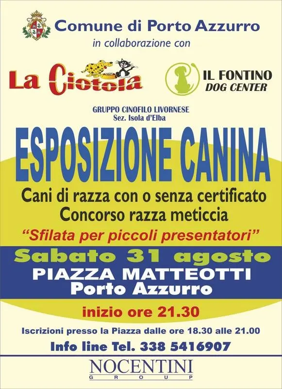 Esposizione canina