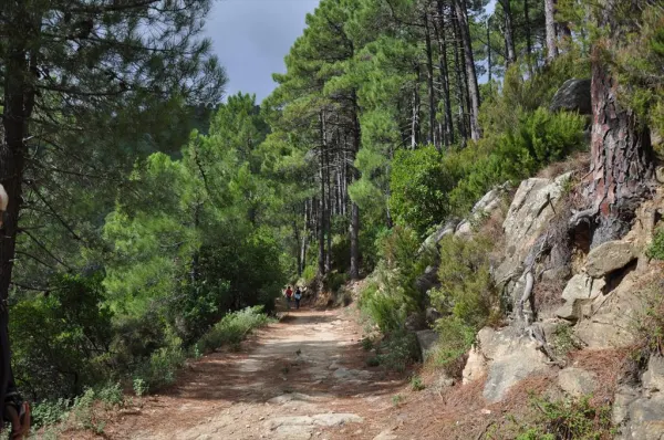 Il borgo tra i castagni e l'eremo di San Cerbone