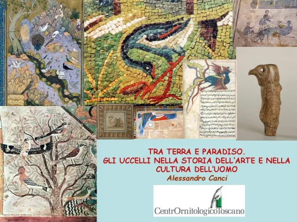 Tra terra e paradiso, gli uccelli nella storia dell'arte e nella cultura dell'uomo