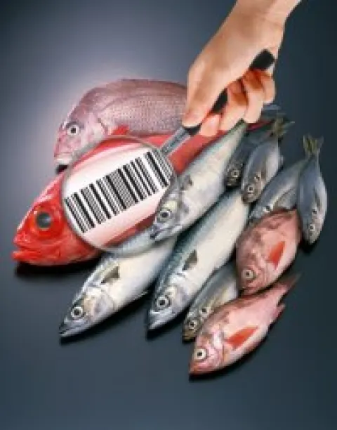 Seminario di Confesercenti sulla "Tracciabilità dei prodotti della Pesca"