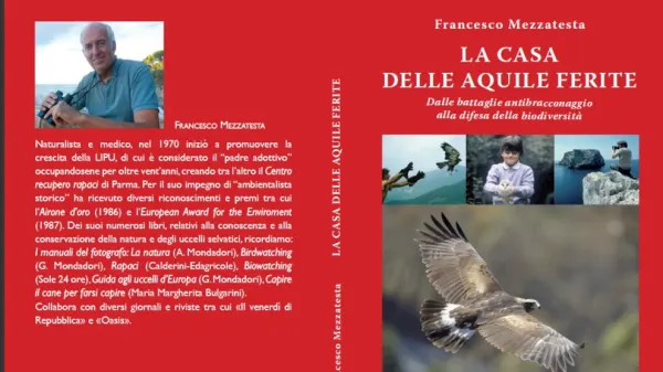 Parliamo di... "Rondini, rondoni e balestrucci, amici dell'uomo"