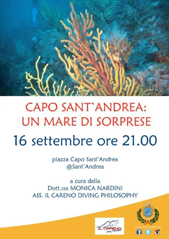 Capo Sant'Andrea: un mare di sorprese
