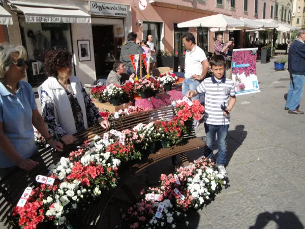 L'Azalea della Ricerca