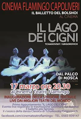 "IL LAGO DEI CIGNI"