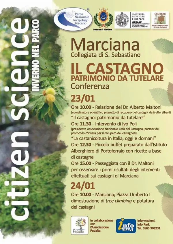 Il Castagno - Patrimonio da tutelare