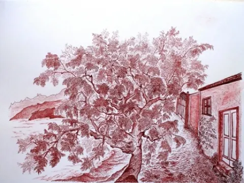 "Alberidigrazia" - Mostra di inchiostri a china su carta di Maria Grazia Dallera