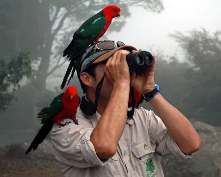 Walking Festival 2015 - Il volo delle rondini, birdwatching