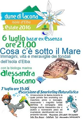 Dune di Lacona
