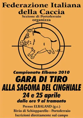 Gara di tiro alla sagoma del cinghiale