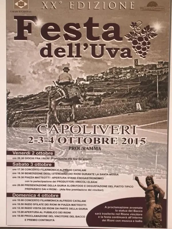 Festa dell'Uva - XX Edizione