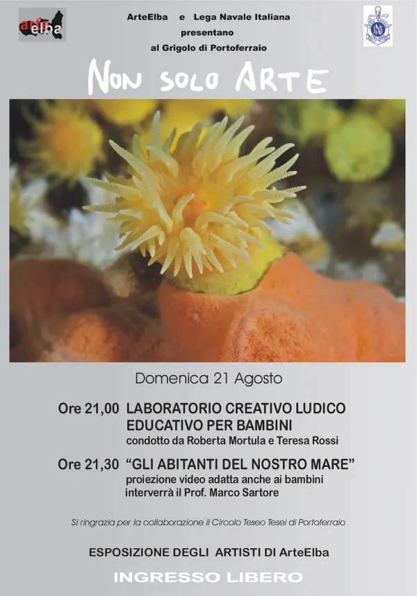 NonSoloArte: "Gli abitanti del nostro mare"