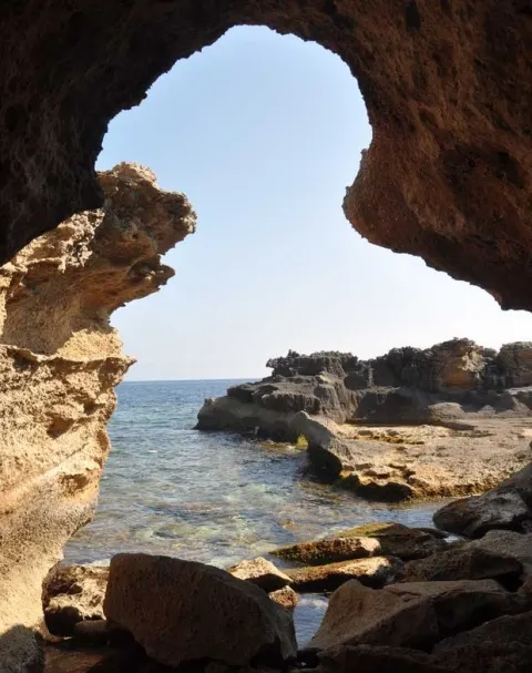 Escursioni guidate a Pianosa - I fossili marini