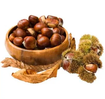 Sagra della Castagnata