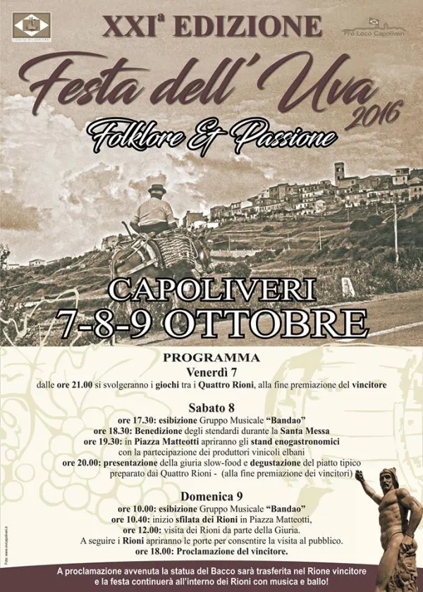 Festa dell'Uva