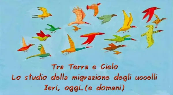 Tra terra e cielo, lo studio della migrazione degli uccelli. Ieri, oggi e domani..