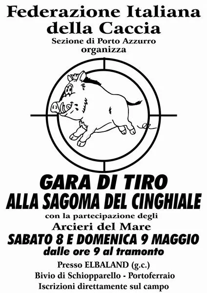 Gara di tiro alla sagoma del cinghiale corrente