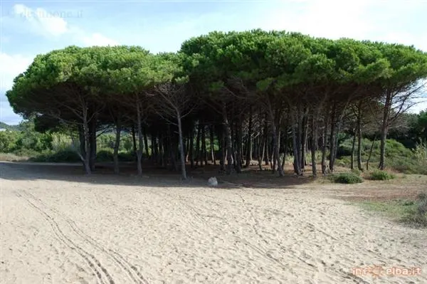 A piedi da Portoferraio alle Dune di Lacona